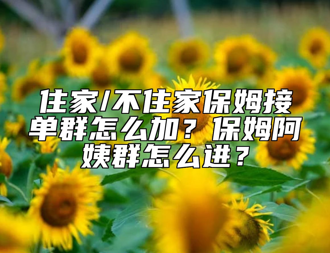 住家/不住家保姆接单群怎么加？保姆阿姨群怎么进？ 