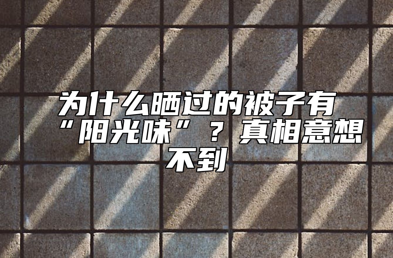 为什么晒过的被子有“阳光味”？真相意想不到 