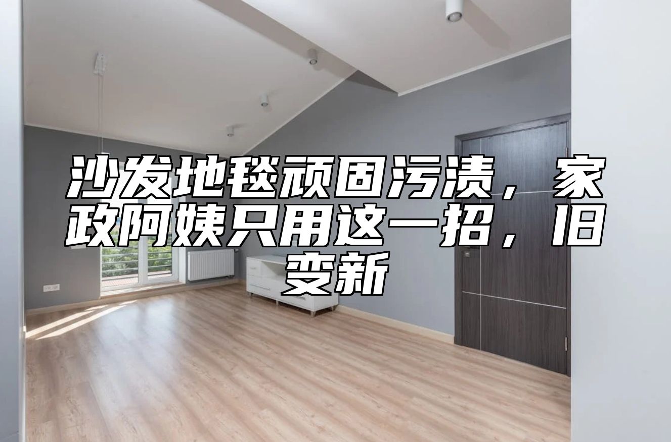 沙发地毯顽固污渍，家政阿姨只用这一招，旧变新